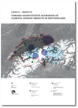 Image of the Report